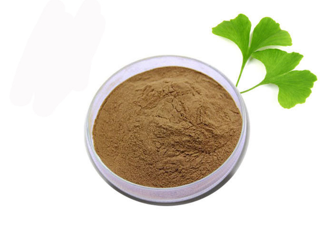 Medizinischer Grad-Antioxydationsmittel reines Ginkgo Biloba-Auszug-Pulver 0