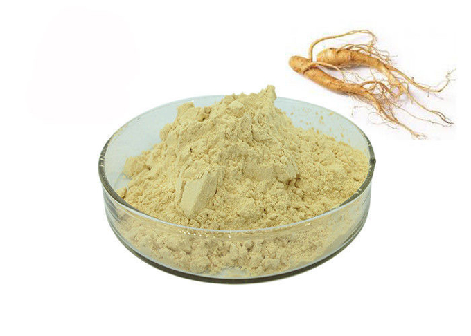 30% Ginsenosides Antialtern-hellgelbes Ginseng-Auszug-Pulver 0