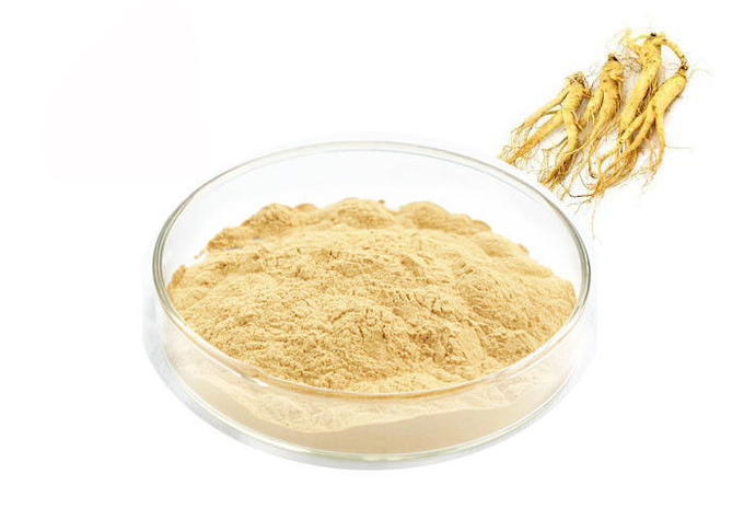 Nahrungsmittelgrad Panaxoside-Ginseng-Auszug-Pulver für Gesundheits-Produkte 0