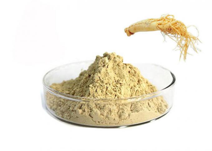 GINSENG-Wurzel-Pulver CASs 90045-38-8 80% Ginsenosides reines Kräuter 0