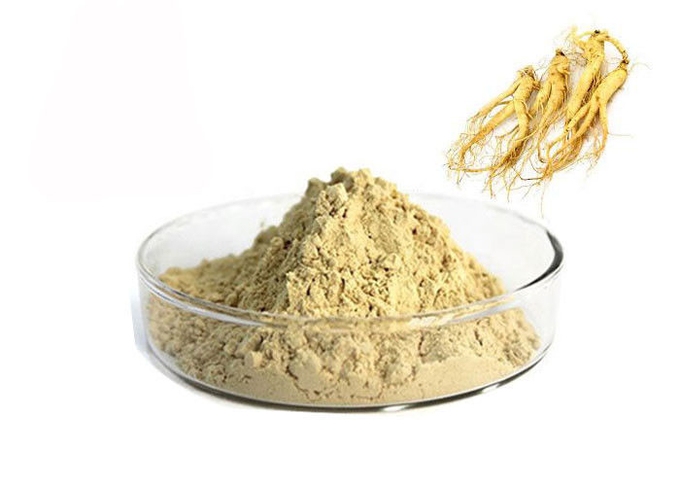Pharmazeutische 80% Panax Wurzel-natürliches Ginseng-Auszug-Pulver 0