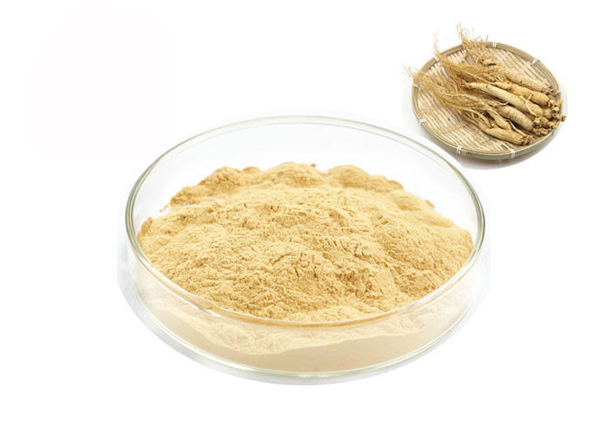 Organischer sibirischer reiner Ginseng-Auszug der Wurzel-30% 80% Ginsenosides 0