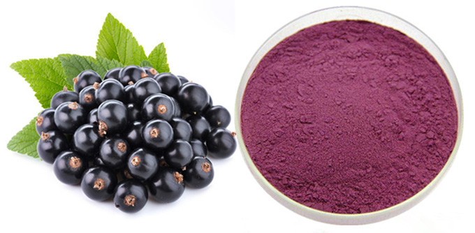 Starkes Anthocyanin-Auszug-Pulver der Saft-Schwarzen Johannisbeere-10% 0
