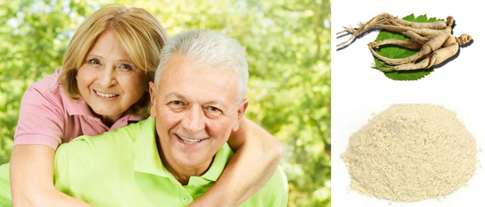 Gesundheitswesen, das immunes Wurzel-Ginseng-Auszug-Pulver verbessert 0